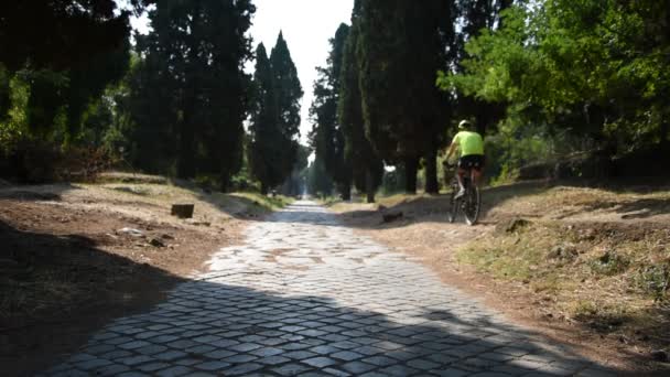 View of Appia Ancient Roman road — стоковое видео