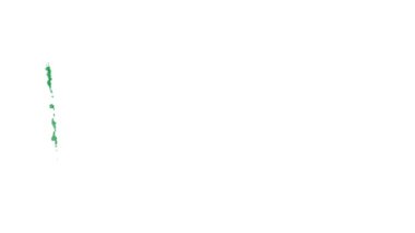 Cezayir bayrağı fırça darbesiyle boyandı