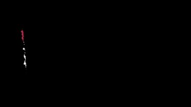 Mısır bayrağı fırça darbesiyle boyanmış