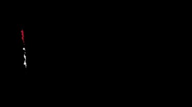 Hırvatistan bayrağı fırça darbesiyle boyandı