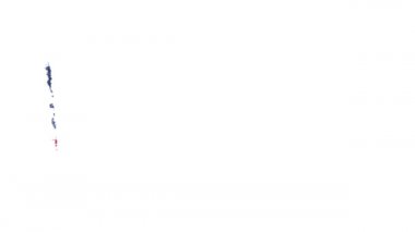 ABD bayrağı fırça darbesiyle boyandı