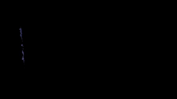 Bandeira do Chade pintada com um pincel — Vídeo de Stock