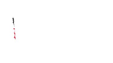 Almanya bayrağı fırça darbesiyle boyandı