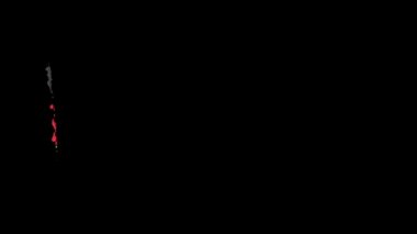 Almanya bayrağı fırça darbesiyle boyandı