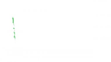 Moritanya bayrağı fırça darbesiyle boyanmış.