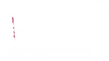 Maldivler bayrağı fırça darbesiyle boyanmış