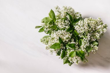 Doğal mermer zemin üzerinde beyaz leylak. Sevgililer Günü konsepti. Uluslararası Kadınlar Günü. Anneler Günü. Düz konum, üst görünüm, kopyalama alanı.