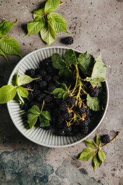 Gri arka planda gri bir seramik kasede yaprakları olan böğürtlenler. Düz konum, üst görünüm, kopyalama alanı.