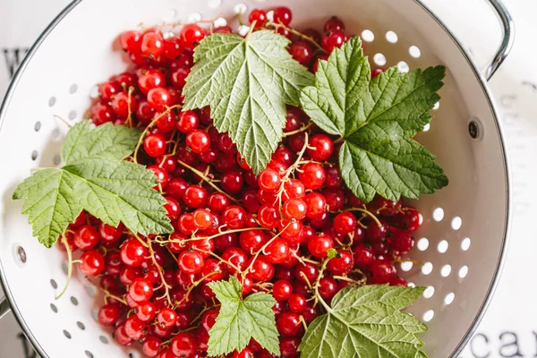 Rote Johannisbeere Mit Blättern Einem Weißen Sieb Auf Weißem Hintergrund — Stockfoto