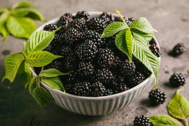 Ahşap arka planda gri bir seramik kasede yaprakları olan böğürtlenler. Kapat..