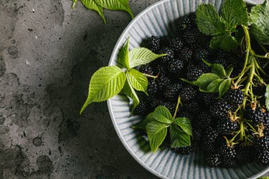 Gri arka planda gri bir seramik kasede yaprakları olan böğürtlenler. Düz konum, üst görünüm, kopyalama alanı.