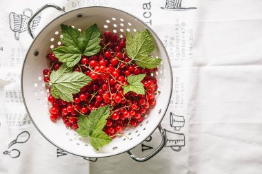 Beyaz arka planda yaprakları olan kırmızı frenk üzümü. Kapat..