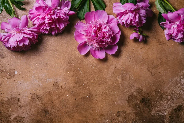 Belle Peonie Rosa Fiori Uno Sfondo Beige Concetto San Valentino — Foto Stock
