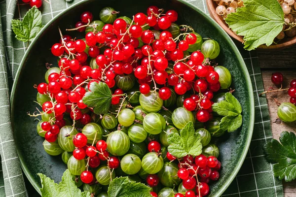 Grüne Stachelbeeren Und Rote Johannisbeeren Mit Blättern Einem Grünen Keramikteller — Stockfoto