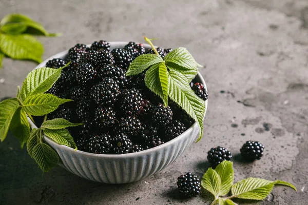 Blackberries Leaves Gray Ceramic Bowl Gray Background Close Copy Space — Stock Photo, Image