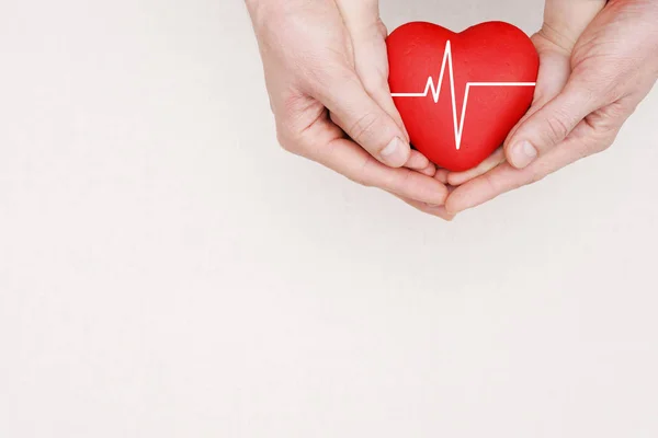 Family health, love and medicine concept - close up of hands holding red heart with cardiogram on a light background.
