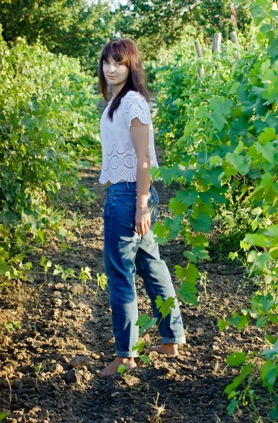 Brünette Frau Steht Einem Weinberg — Stockfoto