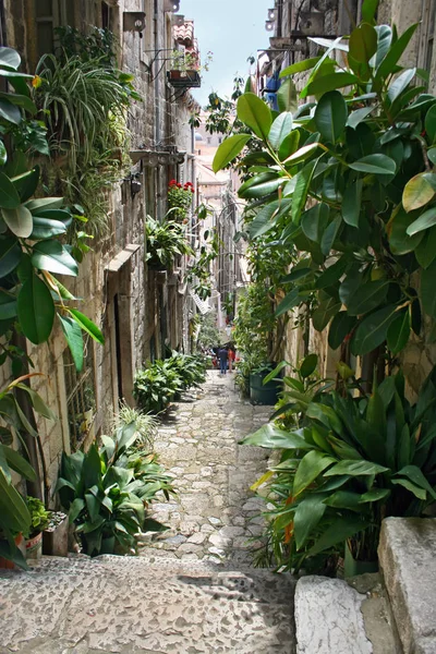 Escadas de rua estreitas na cidade velha de Dubrovnik, Croácia — Fotografia de Stock