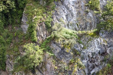 Dik gri granit kaya yüzeyi çim ve çalılar ile büyümüş