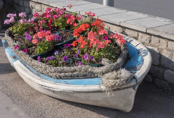 Beyaz ve mavi kayık saksı ile dolu