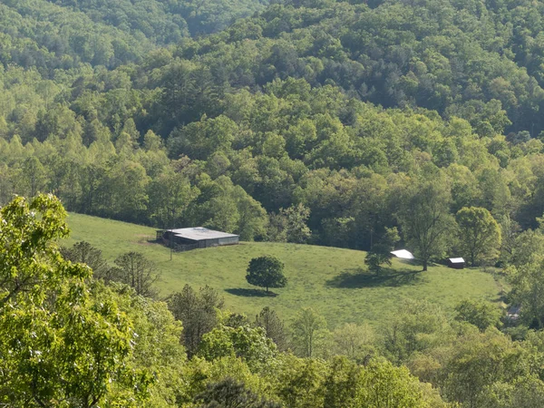 Bauernhäuser Eingebettet Ein Grünes Tal Umgeben Von Wald — Stockfoto