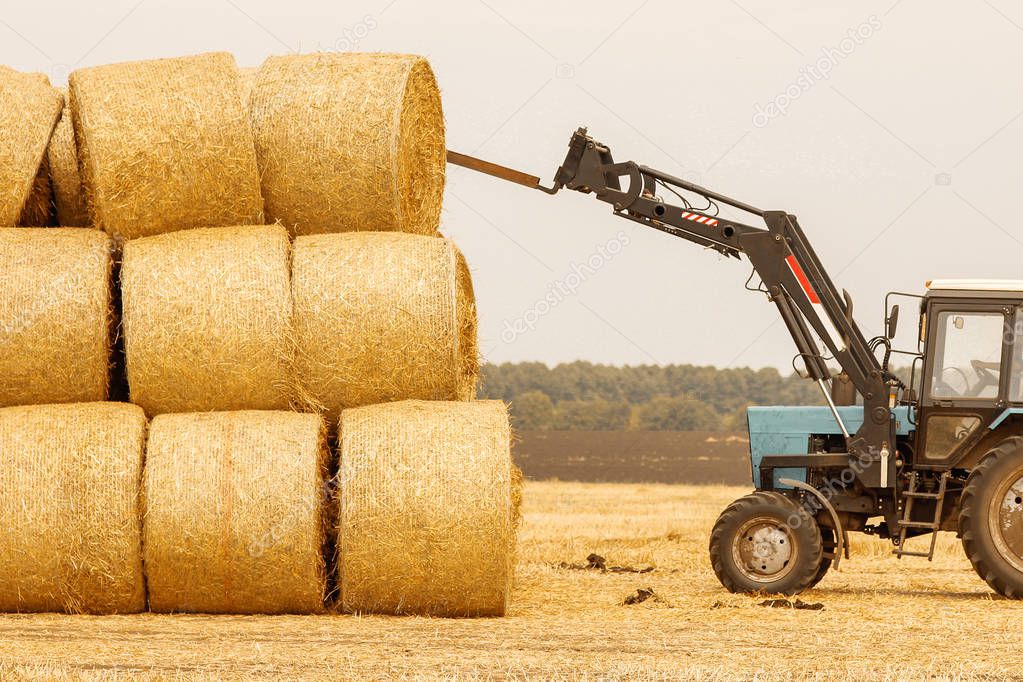 bales of hay in a field with a tractor in the autumn background