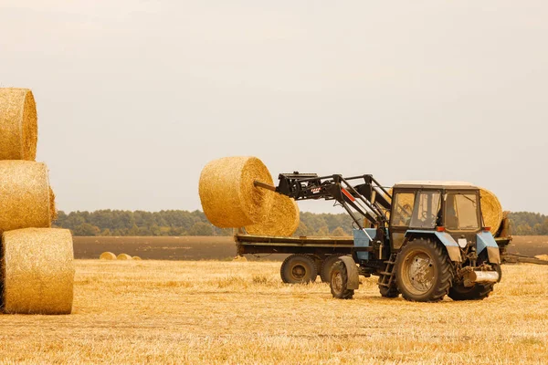 Heuballen Auf Einem Feld Mit Einem Traktor Herbstlichen Hintergrund — Stockfoto