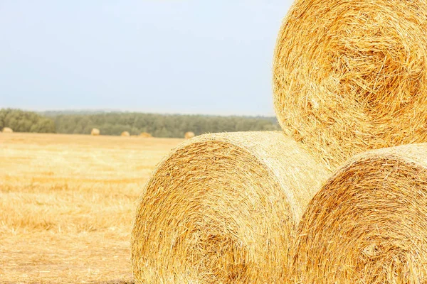 Bales Hay Autumn Background — Stock Photo, Image