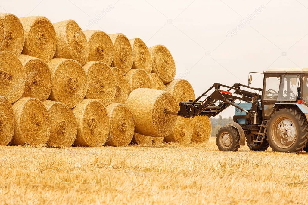 bales of hay in a field with a tractor in the autumn background