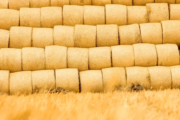 Heuballen Auf Dem Herbsthintergrund — Stockfoto