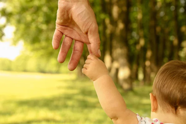 親は小さな子供の手を握り — ストック写真