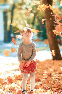 sonbaharda açık havada bir parkta oynayan mutlu çocuk