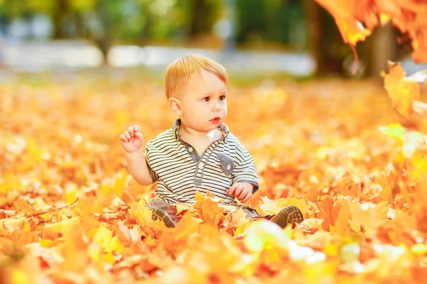 Criança feliz brincando em um parque no outono ao ar livre — Fotografia de Stock