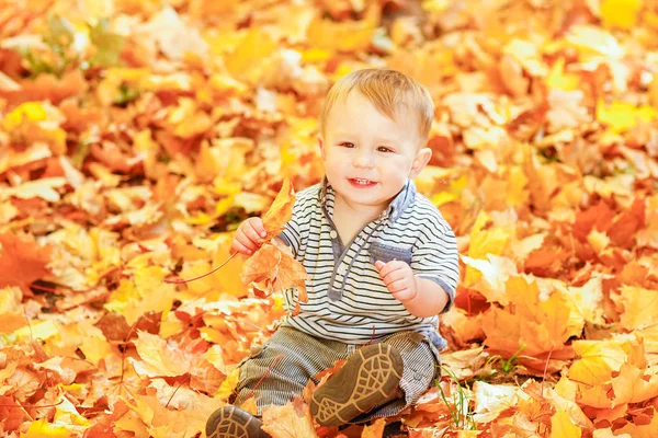 Happy child playing in a park in autumn outdoors — Stock Photo, Image