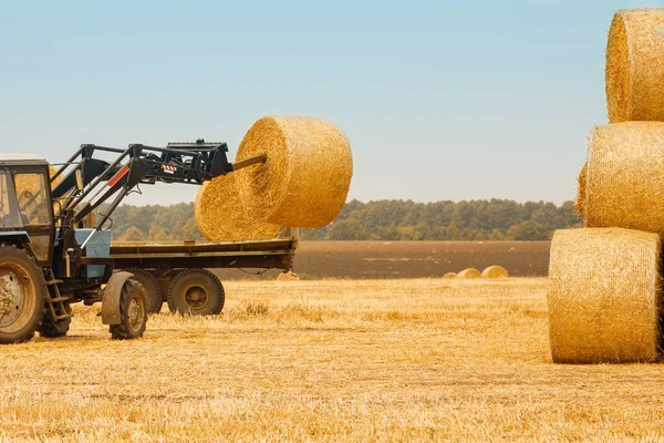 Heuballen auf einem Feld mit einem Traktor im herbstlichen Hintergrund — Stockfoto