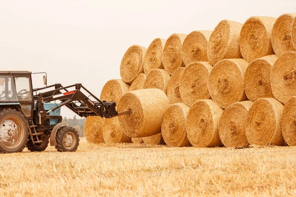 Heuballen auf einem Feld mit einem Traktor im herbstlichen Hintergrund — Stockfoto