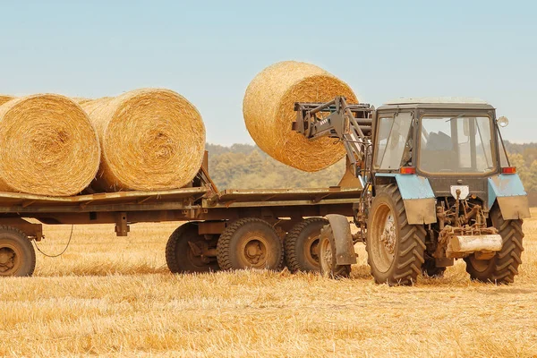 Heuballen auf einem Feld mit einem Traktor im herbstlichen Hintergrund — Stockfoto