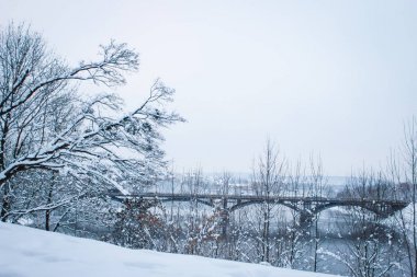 güzel park orman kış açık havada