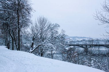 güzel park orman kış açık havada