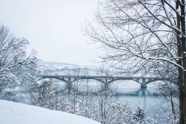 güzel park orman kış açık havada