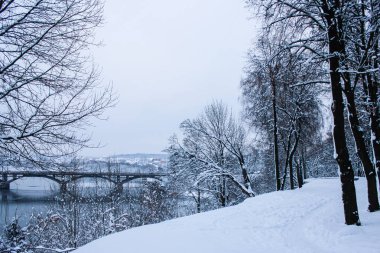 güzel park orman kış açık havada