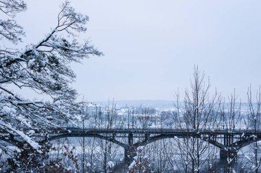güzel park orman kış açık havada