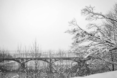 güzel park orman kış açık havada