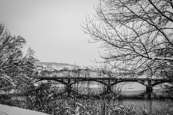 Schöner Park Wald Winter im Freien — Stockfoto