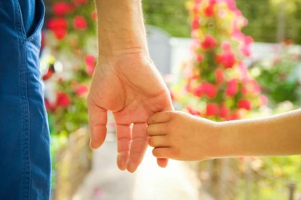 Piękne ręce dziecka i rodzica w parku w przyrodzie — Zdjęcie stockowe