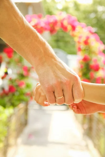 Belle mani di un bambino e un genitore in un parco nella natura — Foto Stock