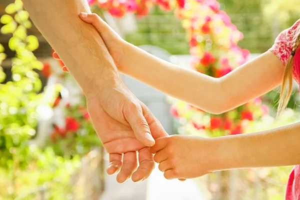 Belle mani di un bambino e un genitore in un parco nella natura — Foto Stock