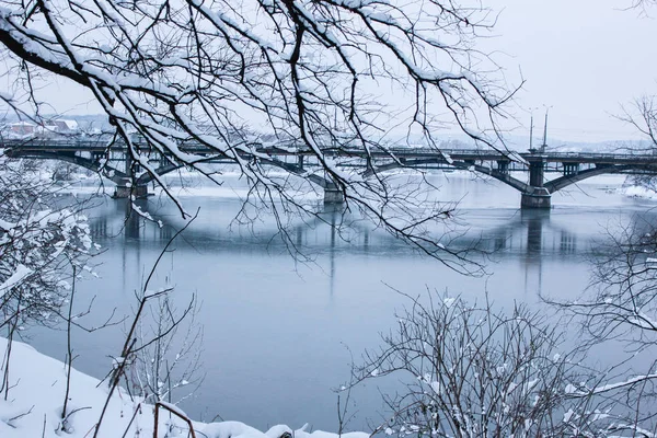 güzel park orman kış açık havada