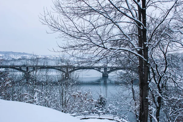 güzel park orman kış açık havada