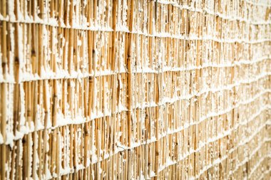 park arka planda doğada kışın cesur çit